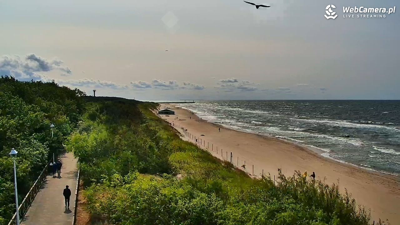 DZIWNÓW  - widok na plażę - 09 czerwiec 2025, 15:59