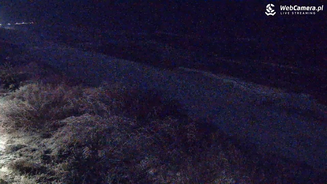 DZIWNÓW  - widok na plażę - 28 styczeń 2026, 00:07