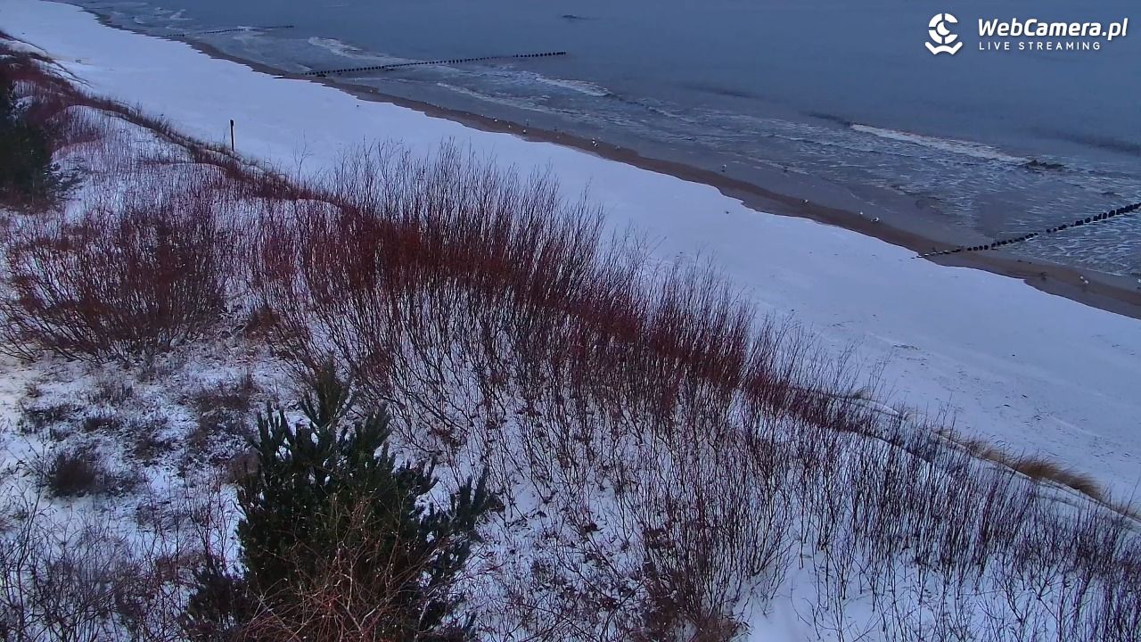 DZIWNÓW  - widok na plażę - 05 styczeń 2026, 07:54