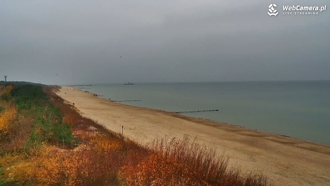 DZIWNÓW  - widok na plażę - 10 listopad 2025, 10:52