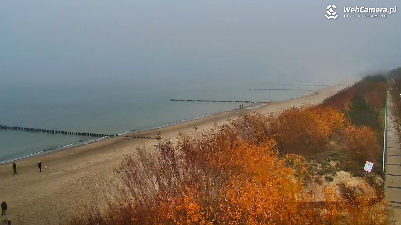 DZIWNÓW  - widok na plażę - 09 listopad 2025, 12:01