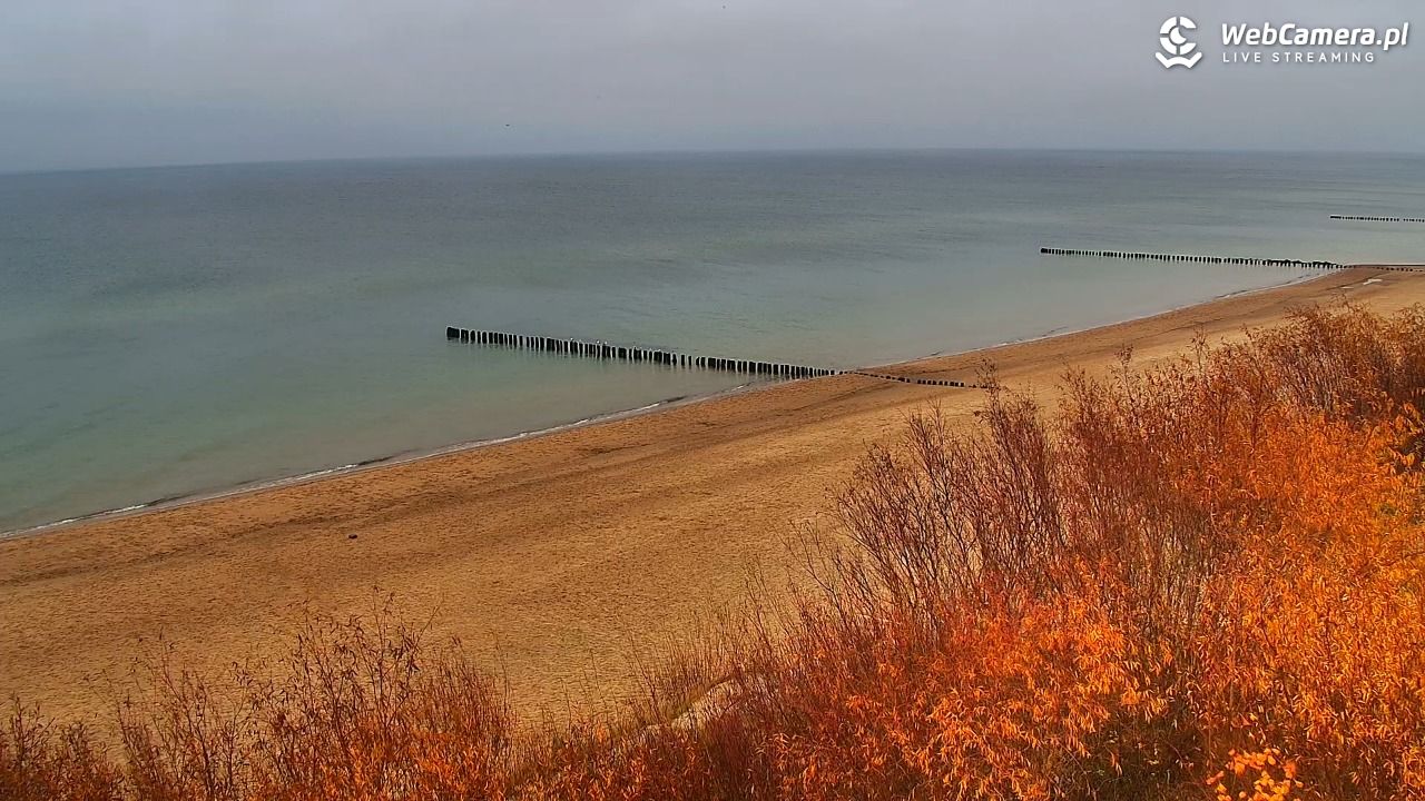DZIWNÓW  - widok na plażę - 11 listopad 2025, 15:02