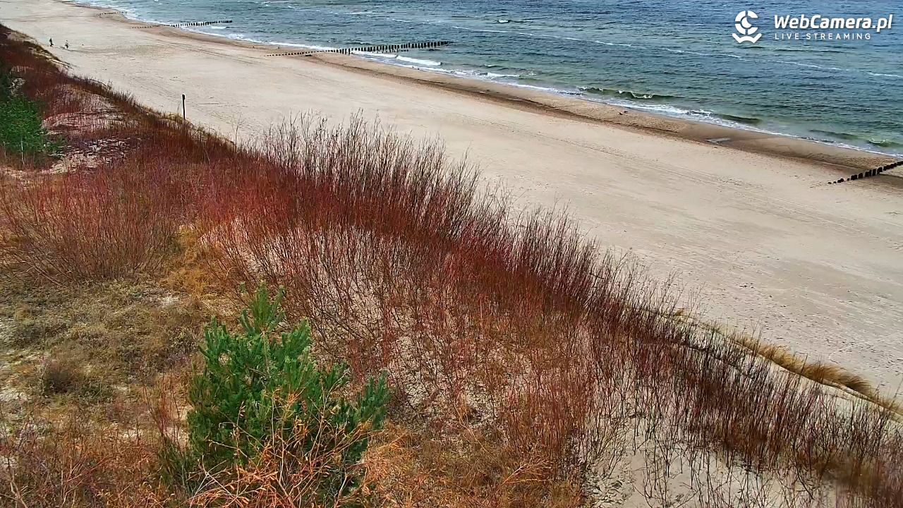 DZIWNÓW  - widok na plażę - 11 grudzień 2025, 11:36
