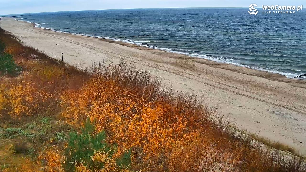 DZIWNÓW  - widok na plażę - 03 listopad 2025, 11:10