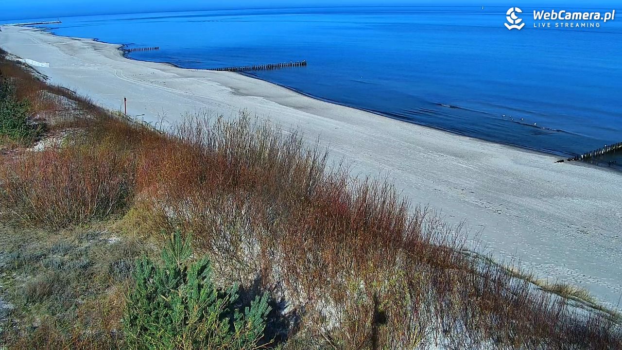 DZIWNÓW  - widok na plażę - 18 kwiecień 2026, 09:11