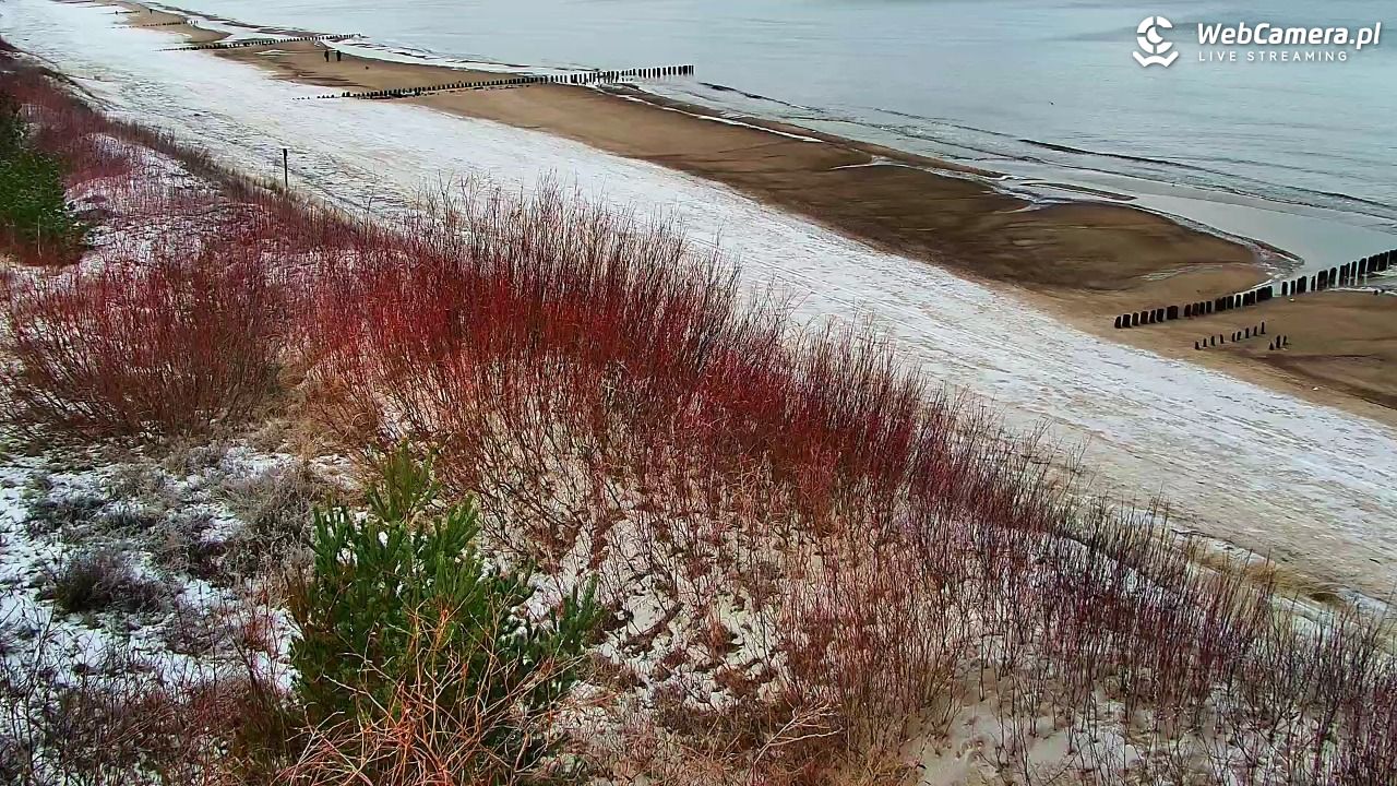 DZIWNÓW  - widok na plażę - 15 styczeń 2026, 10:45