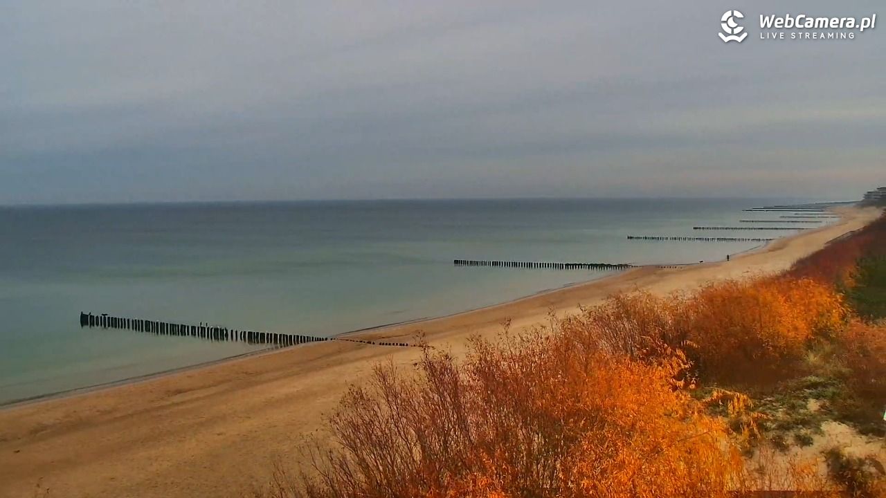 DZIWNÓW  - widok na plażę - 12 listopad 2025, 10:04