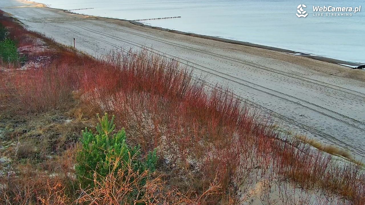 DZIWNÓW  - widok na plażę - 18 grudzień 2025, 10:14