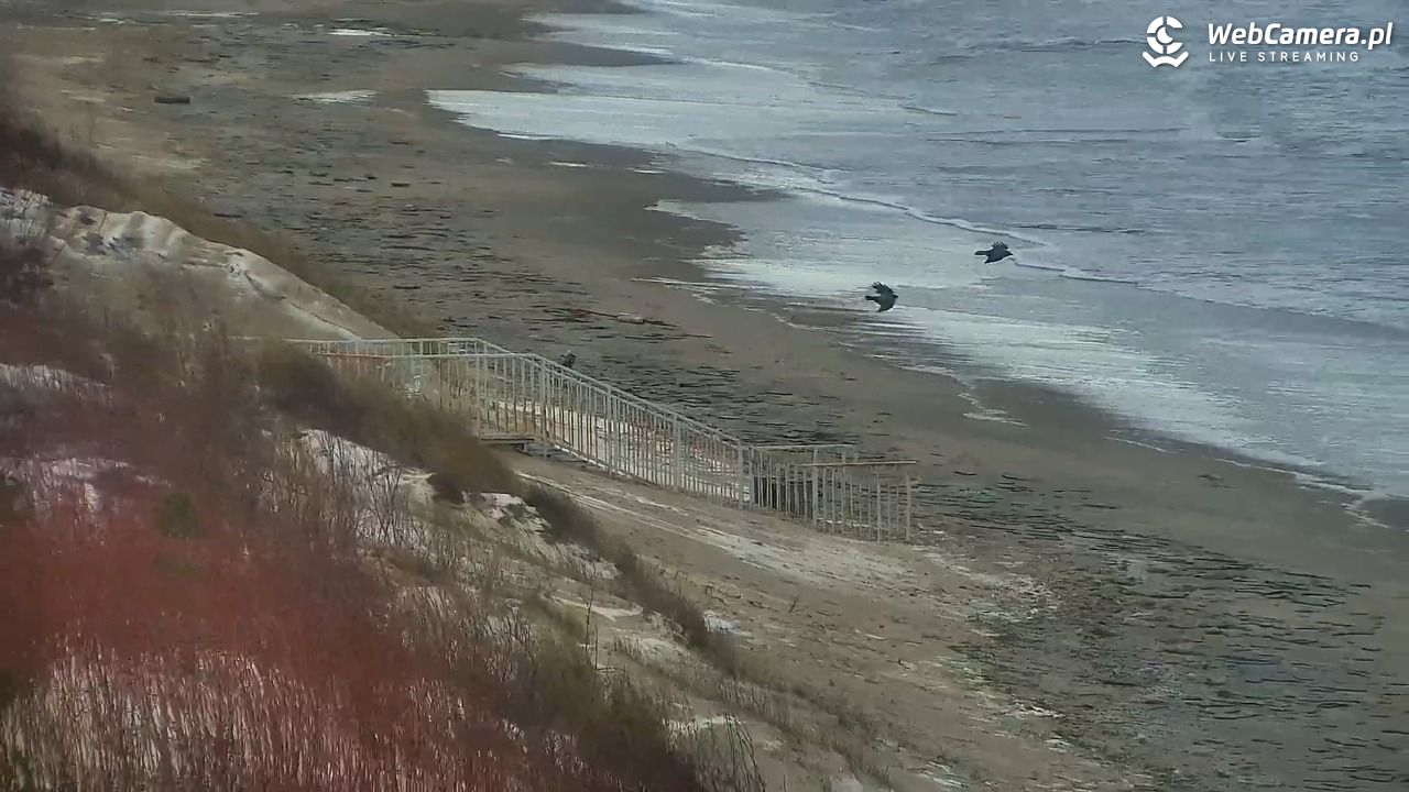 DZIWNÓW  - widok na plażę - 11 styczeń 2026, 11:30