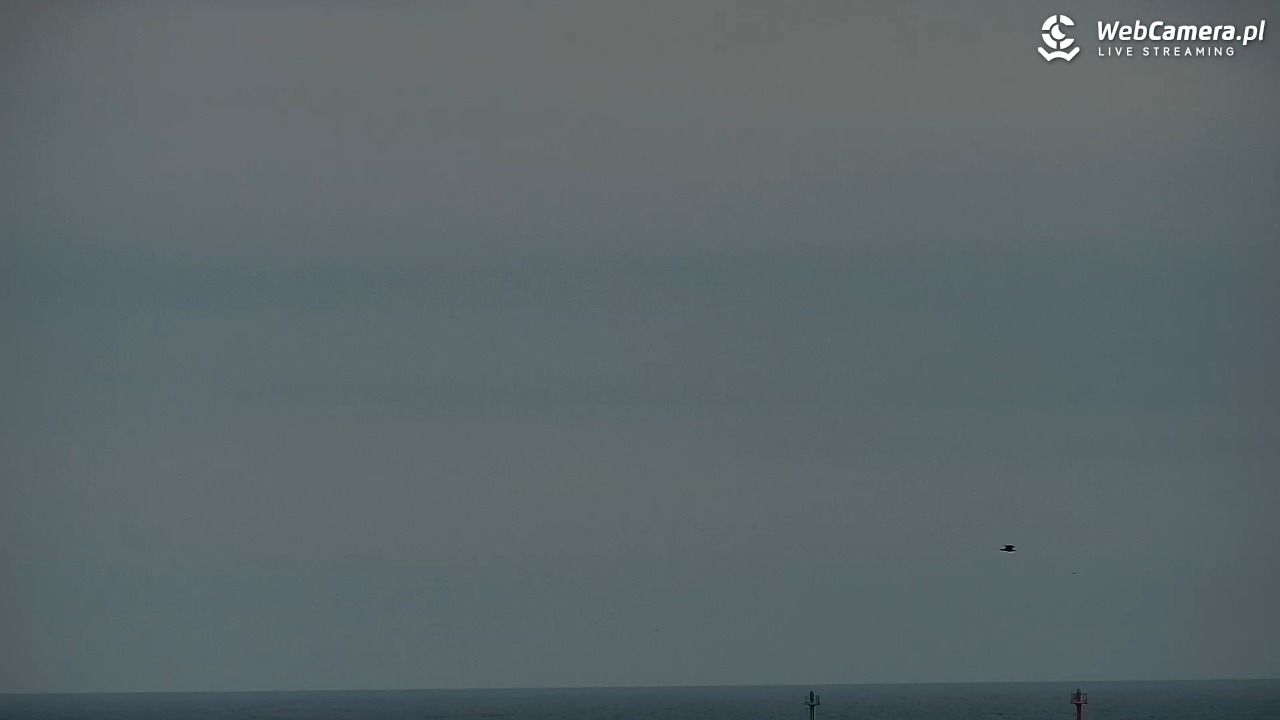 DZIWNÓW  - widok na plażę - 28 styczeń 2026, 15:07