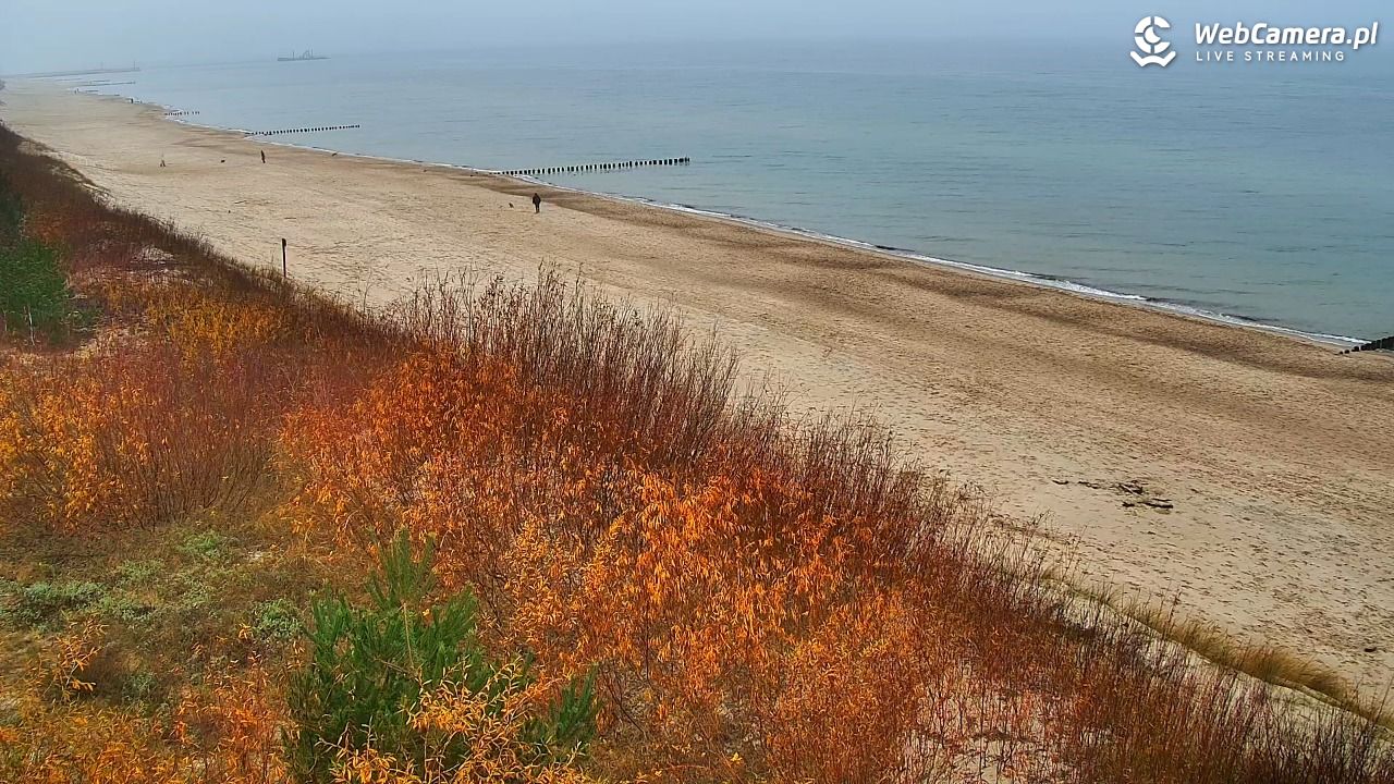 DZIWNÓW  - widok na plażę - 09 listopad 2025, 08:59