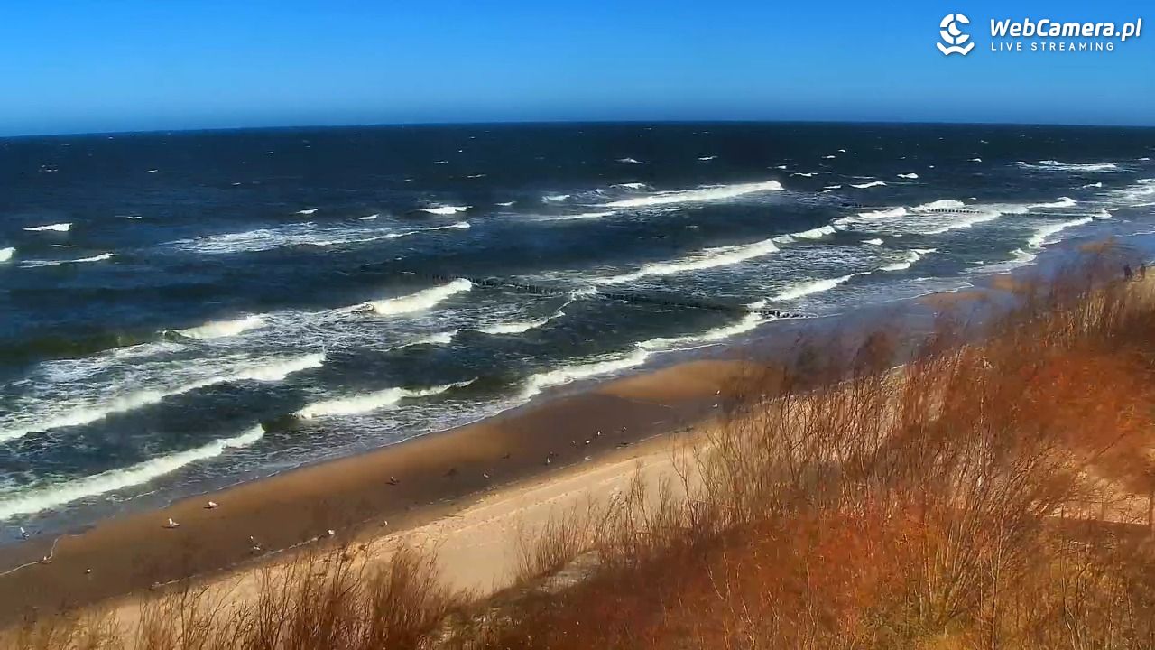 DZIWNÓW  - widok na plażę - 07 kwiecień 2026, 11:08
