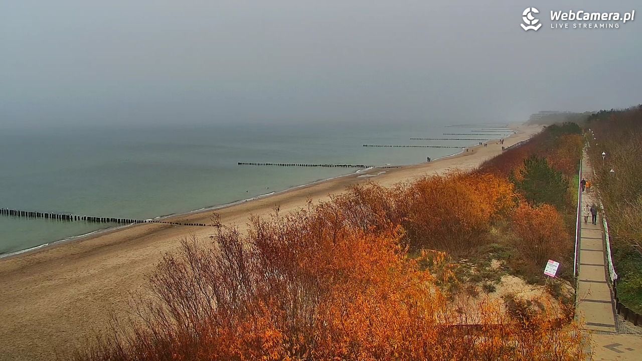 DZIWNÓW  - widok na plażę - 09 listopad 2025, 11:08