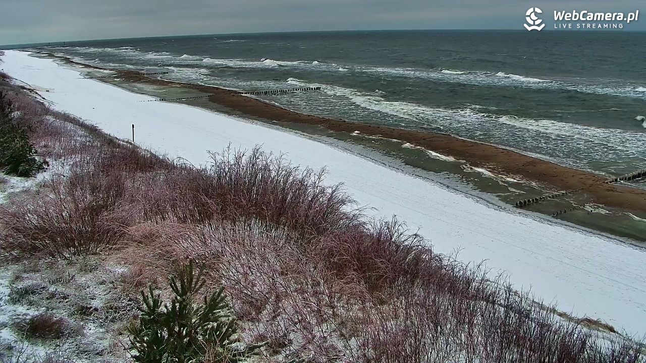 DZIWNÓW  - widok na plażę - 29 styczeń 2026, 09:36