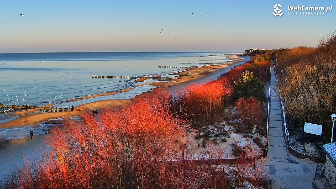 DZIWNÓW  - widok na plażę - 20 styczeń 2026, 14:23