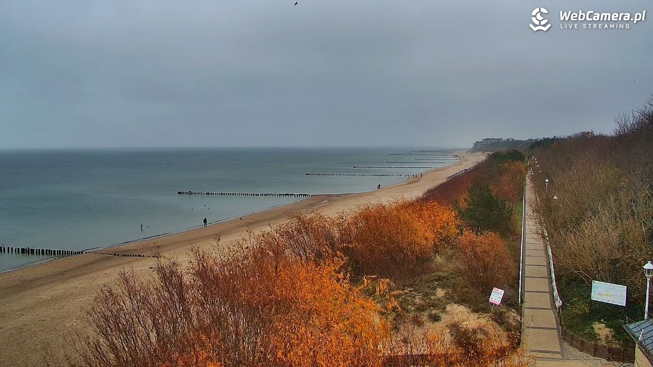 DZIWNÓW  - widok na plażę - 11 listopad 2025, 11:47