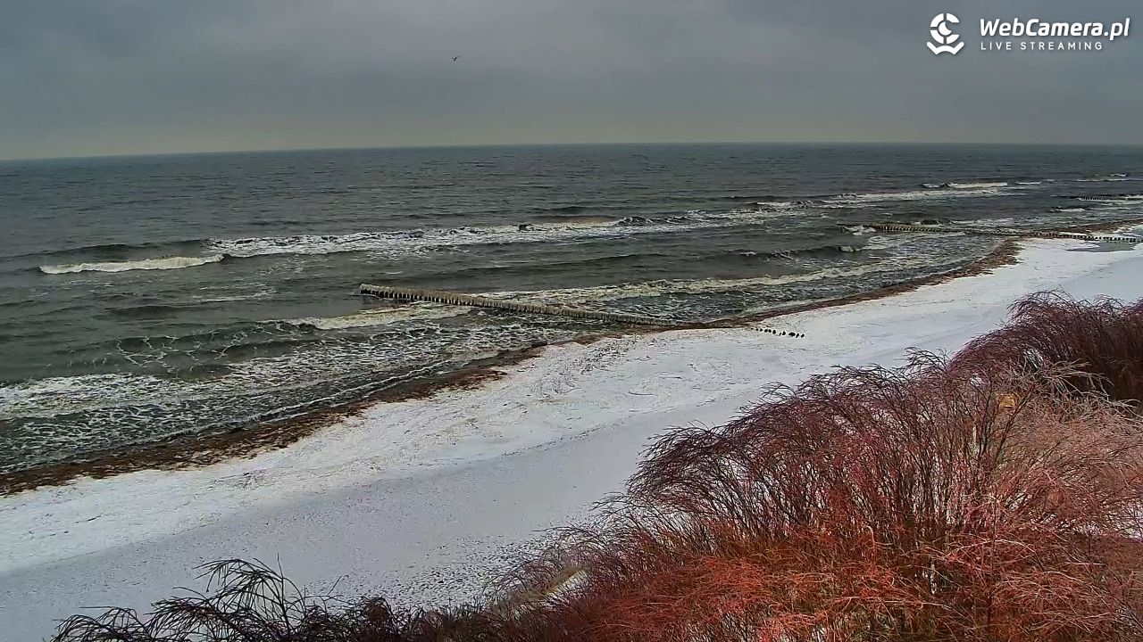 DZIWNÓW  - widok na plażę - 26 styczeń 2026, 13:32