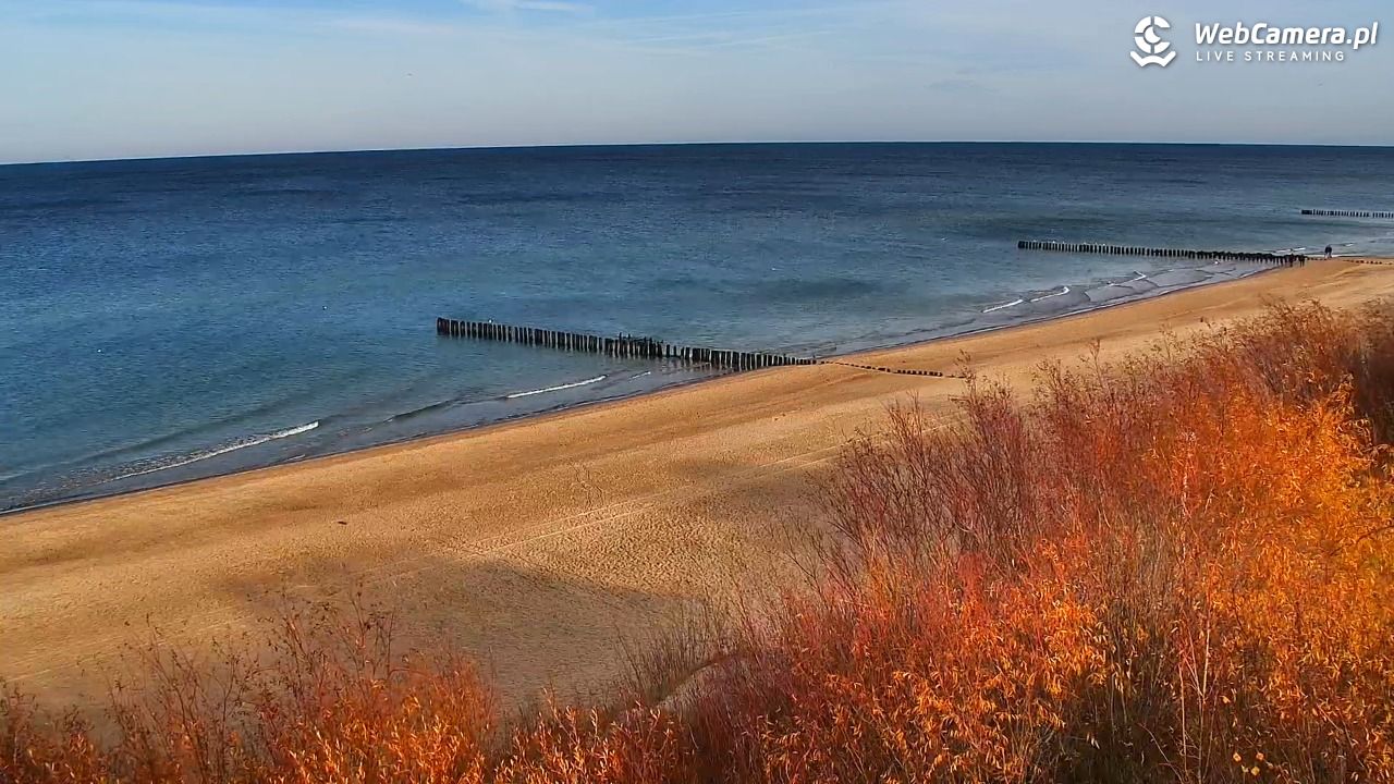 DZIWNÓW  - widok na plażę - 13 listopad 2025, 11:20
