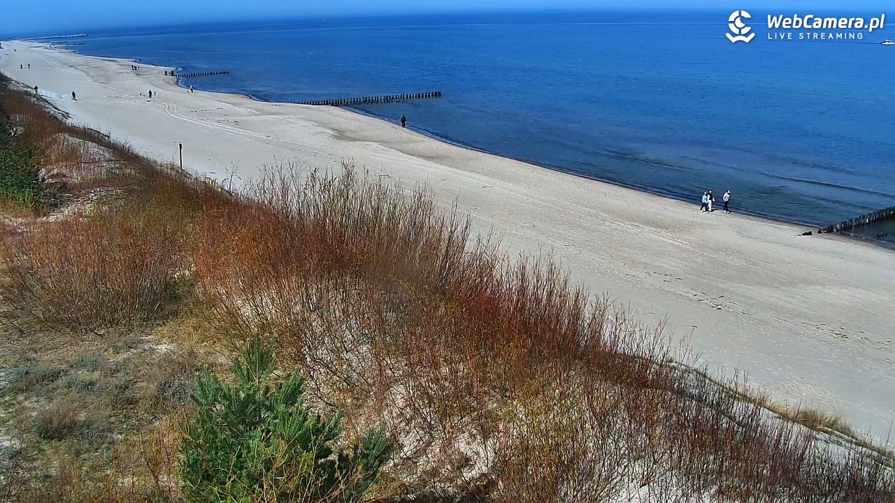 DZIWNÓW  - widok na plażę - 18 kwiecień 2026, 11:05