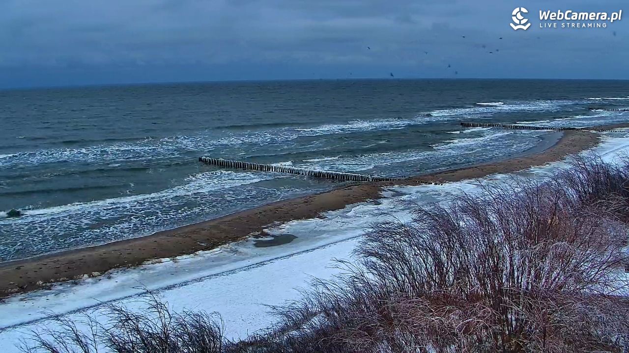 DZIWNÓW  - widok na plażę - 29 styczeń 2026, 16:21