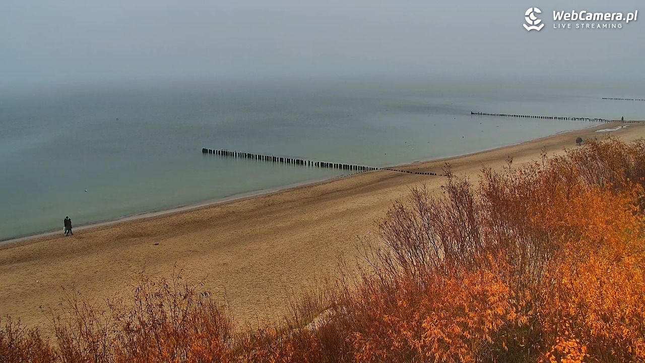 DZIWNÓW  - widok na plażę - 10 listopad 2025, 14:00