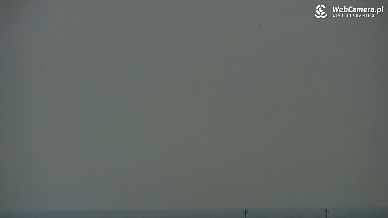 DZIWNÓW  - widok na plażę - 30 styczeń 2026, 15:22