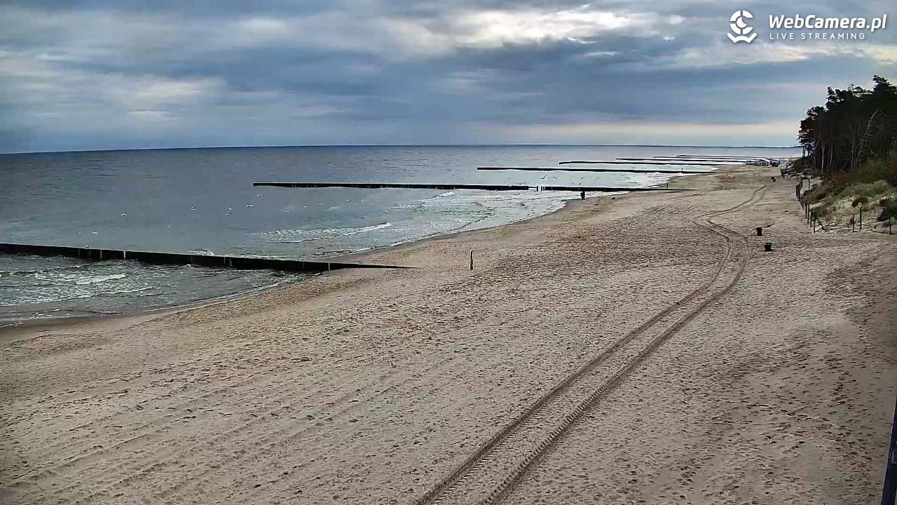 DŹWIRZYNO - widok na plażę - 18 wresień 2026, 08:57