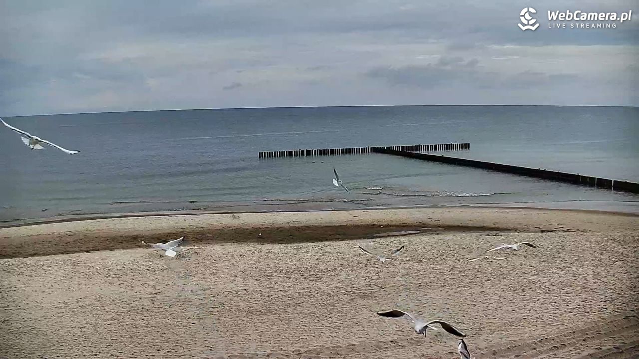 DŹWIRZYNO - widok na plażę - 14 wresień 2025, 13:32