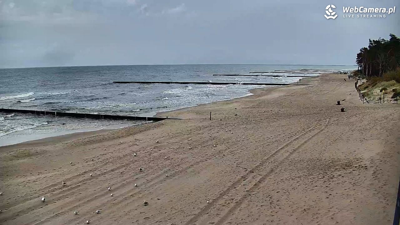 DŹWIRZYNO - widok na plażę - 20 wresień 2026, 09:55