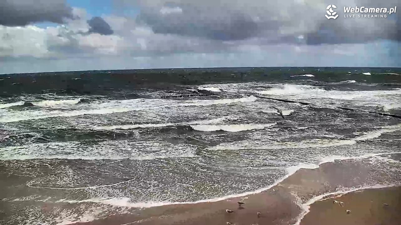 DŹWIRZYNO - widok na plażę - 21 wresień 2026, 11:23