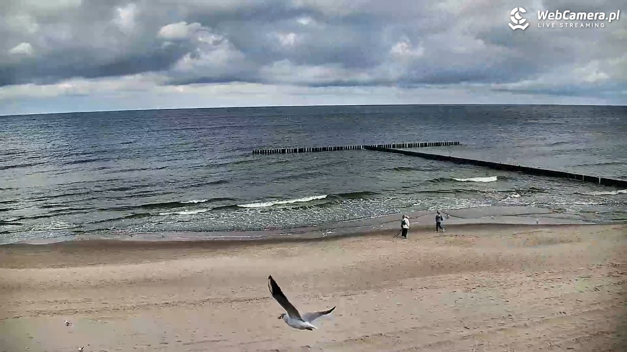 DŹWIRZYNO - widok na plażę - 18 wresień 2026, 10:15