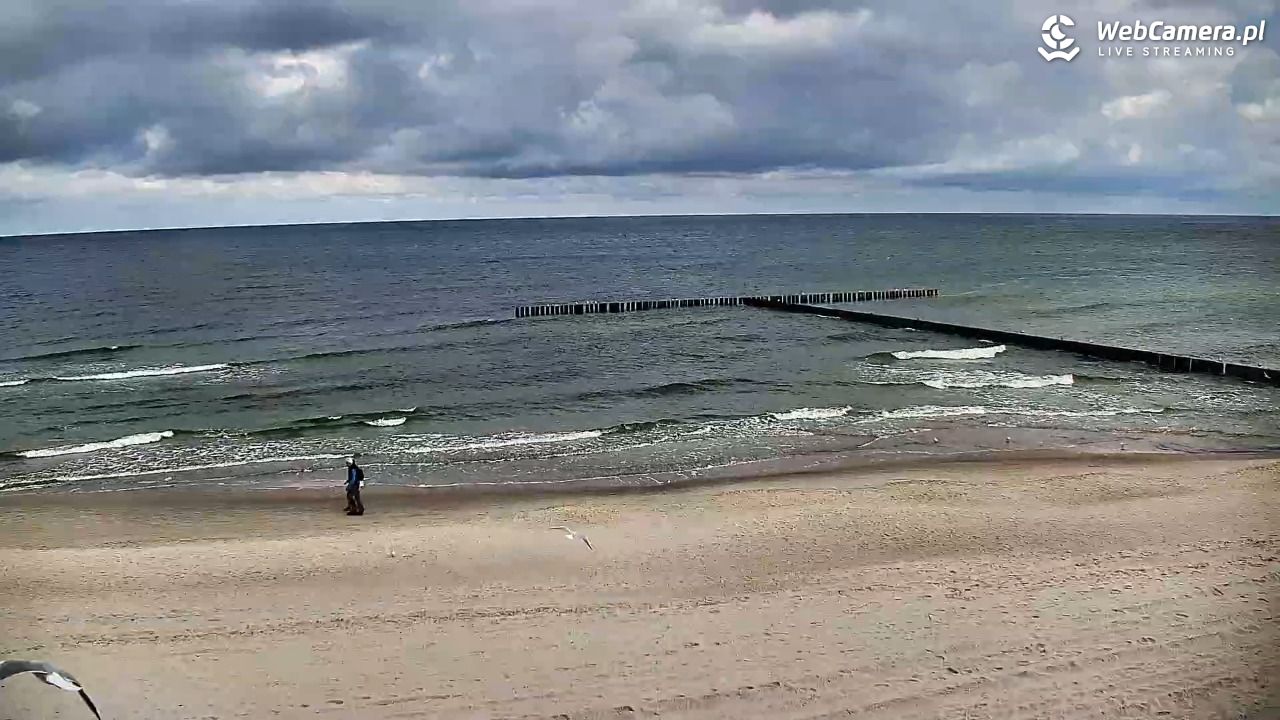 DŹWIRZYNO - widok na plażę - 18 wresień 2026, 10:13