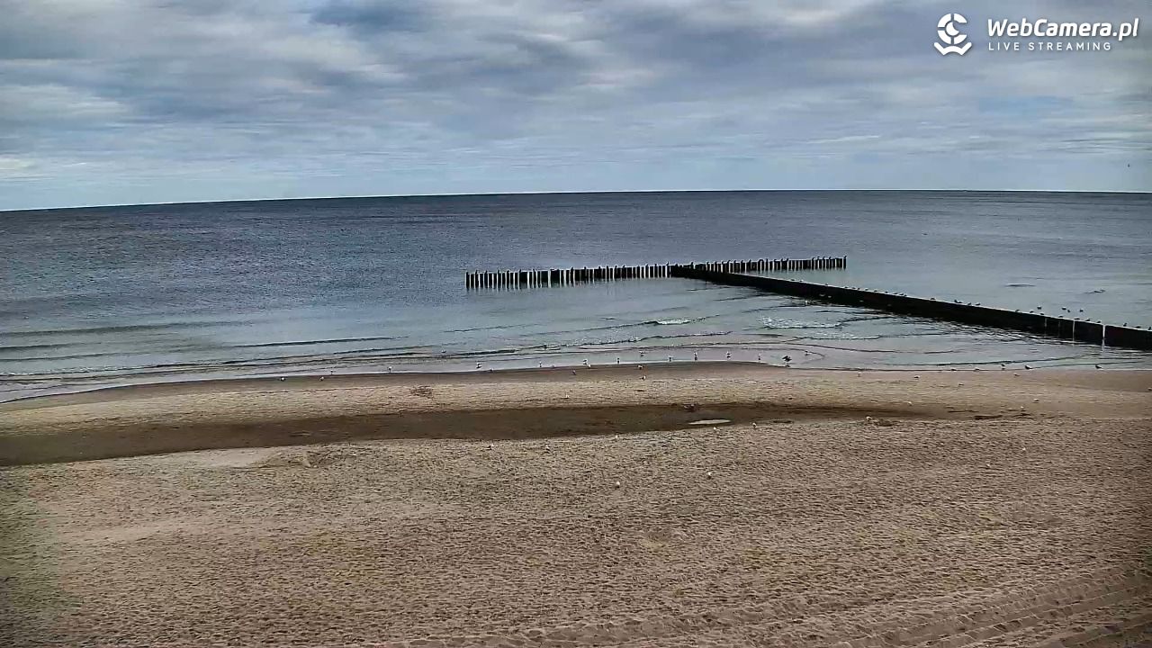 DŹWIRZYNO - widok na plażę - 15 wresień 2025, 09:30