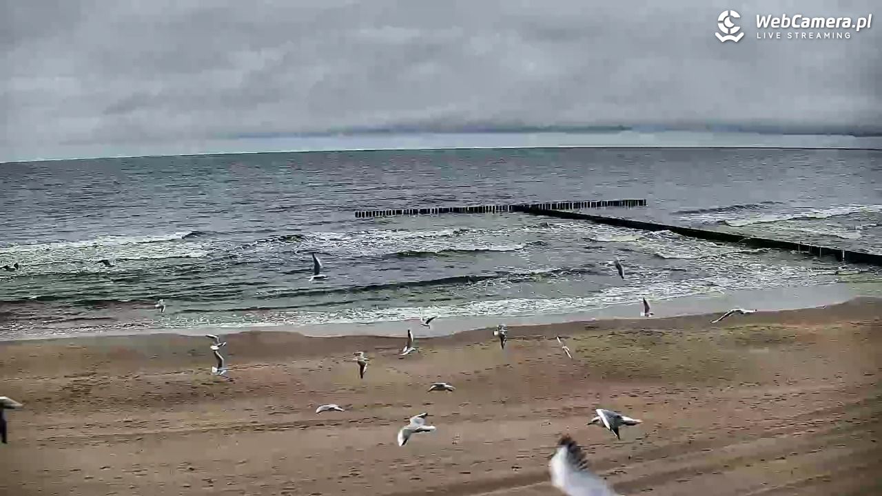 DŹWIRZYNO - widok na plażę - 20 wresień 2026, 08:45