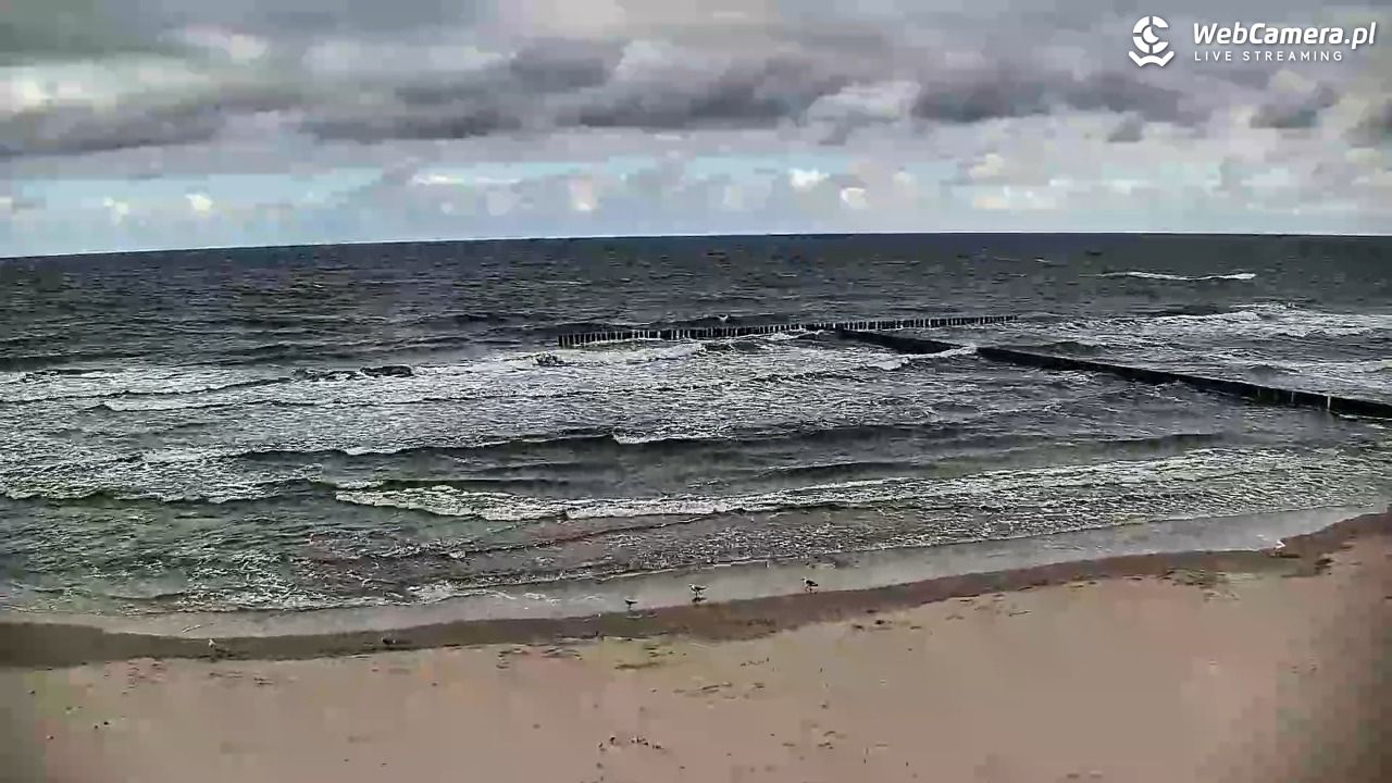 DŹWIRZYNO - widok na plażę - 07 sierpień 2026, 08:49
