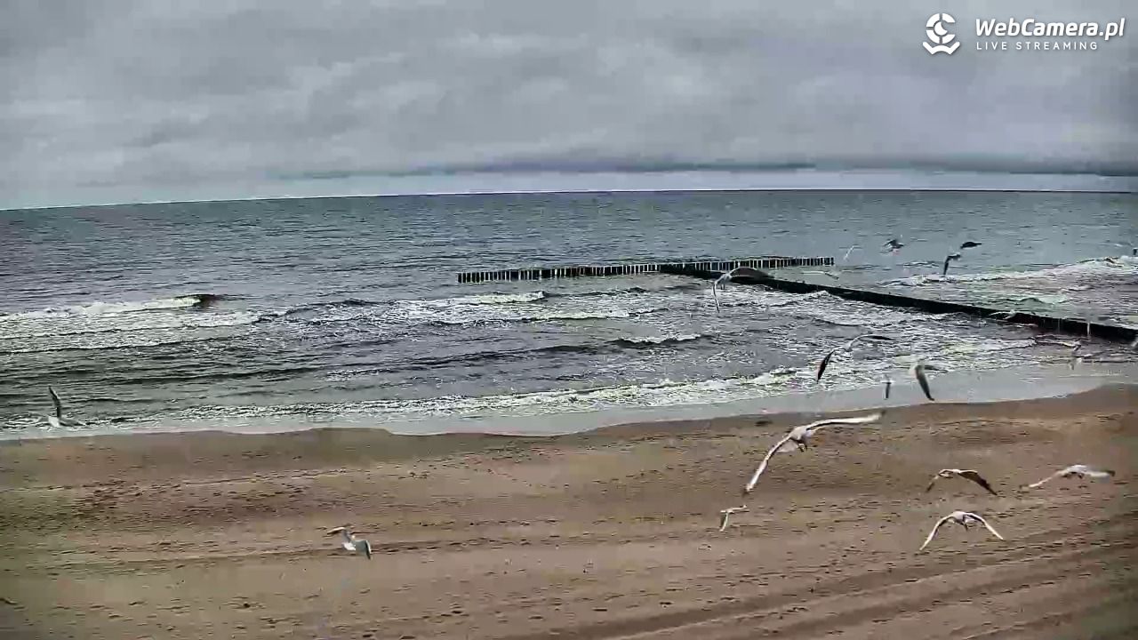 DŹWIRZYNO - widok na plażę - 20 wresień 2026, 08:45