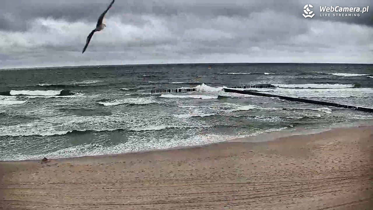 DŹWIRZYNO - widok na plażę - 06 maj 2026, 18:17