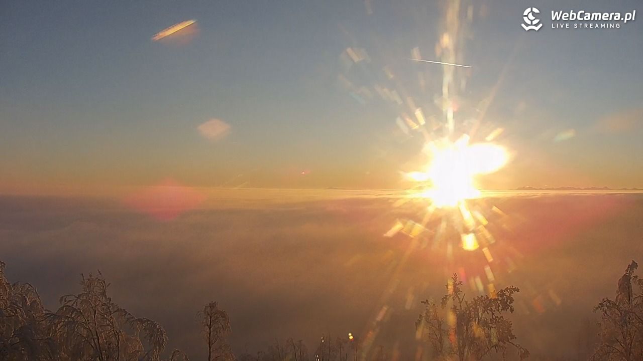 Szyndzielnia – szczyt w Beskidzie Śląskim - 01 luty 2026, 07:29