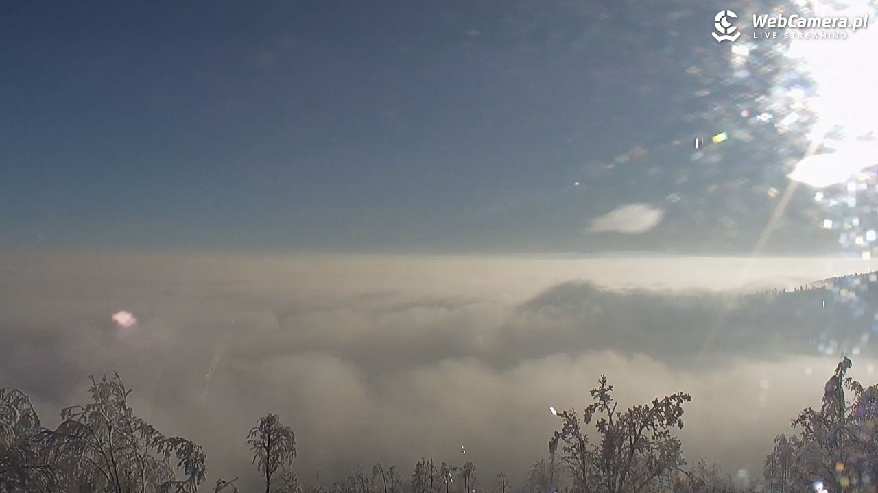 Szyndzielnia – szczyt w Beskidzie Śląskim - 01 luty 2026, 08:56