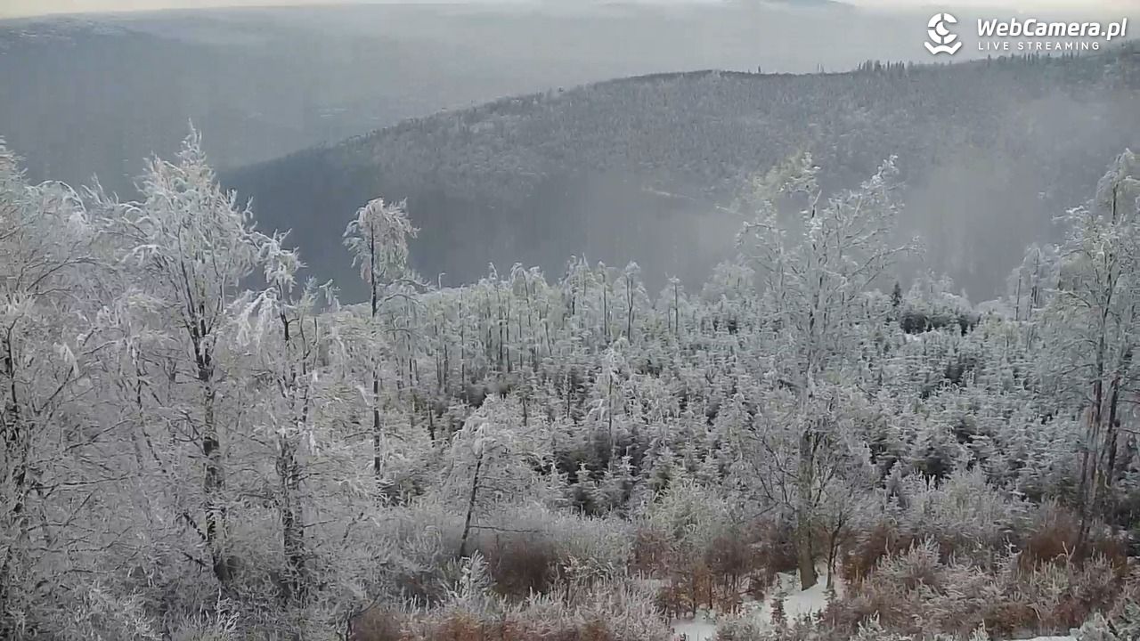 Szyndzielnia – szczyt w Beskidzie Śląskim - 02 luty 2026, 13:05