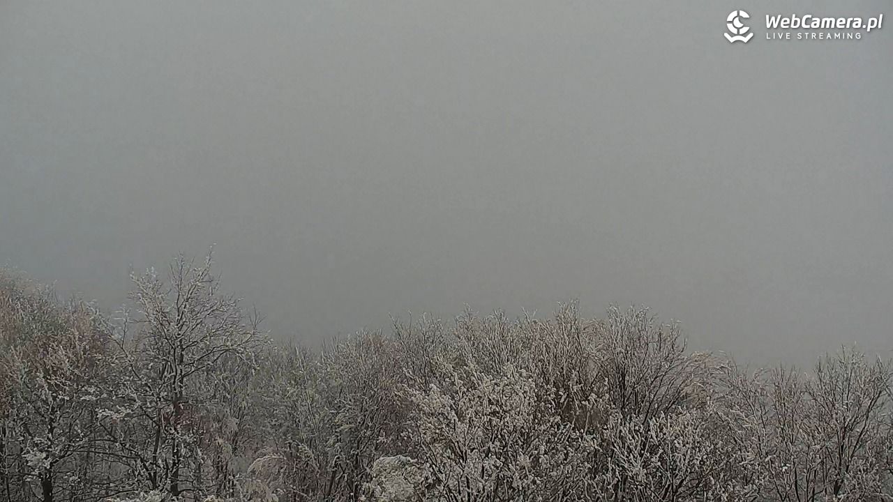 Szyndzielnia – szczyt w Beskidzie Śląskim - 01 luty 2026, 13:20