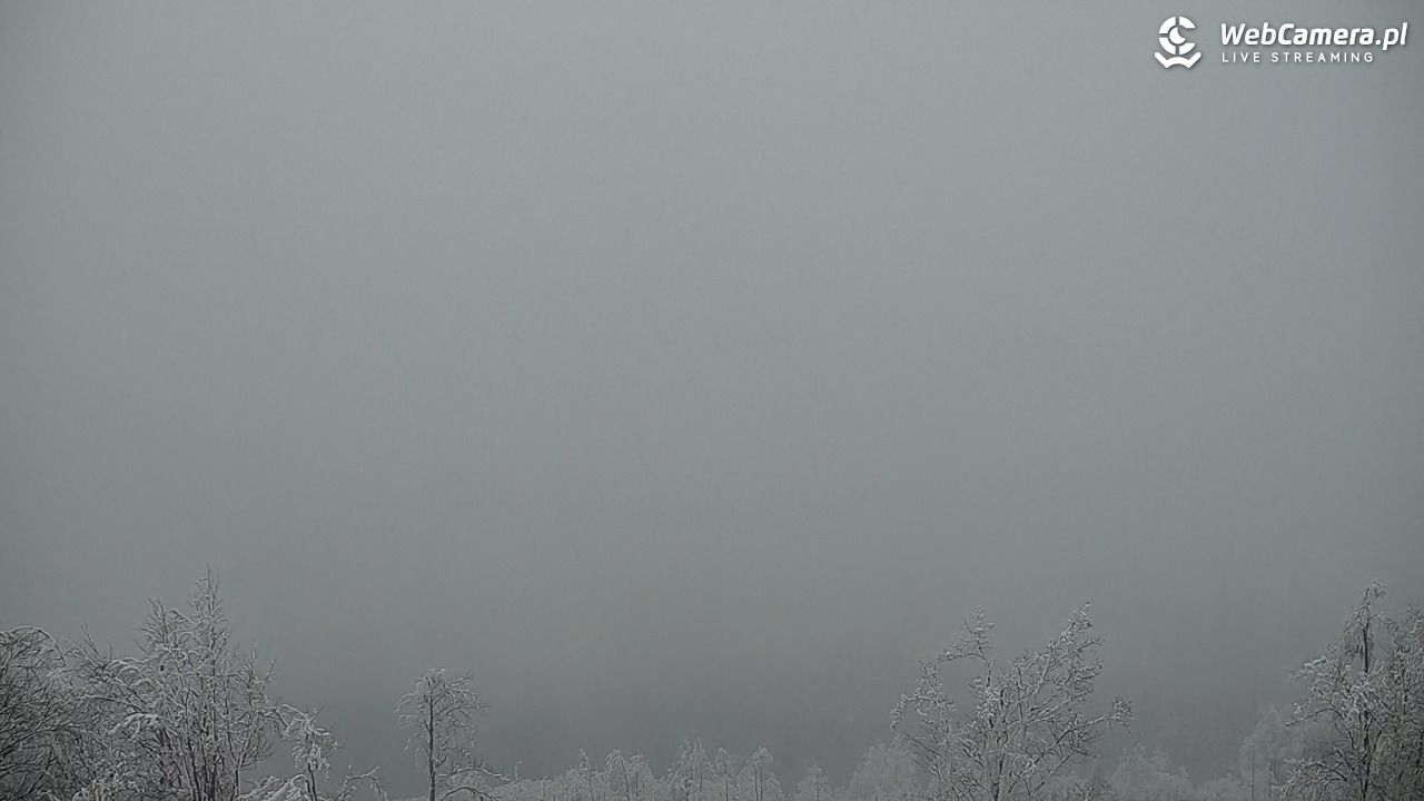 Szyndzielnia – szczyt w Beskidzie Śląskim - 01 luty 2026, 16:19