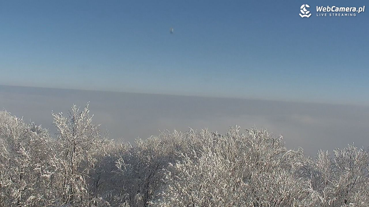 Szyndzielnia – szczyt w Beskidzie Śląskim - 01 luty 2026, 10:41