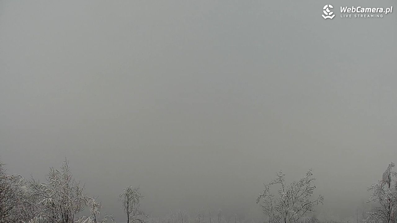 Szyndzielnia – szczyt w Beskidzie Śląskim - 01 luty 2026, 13:20