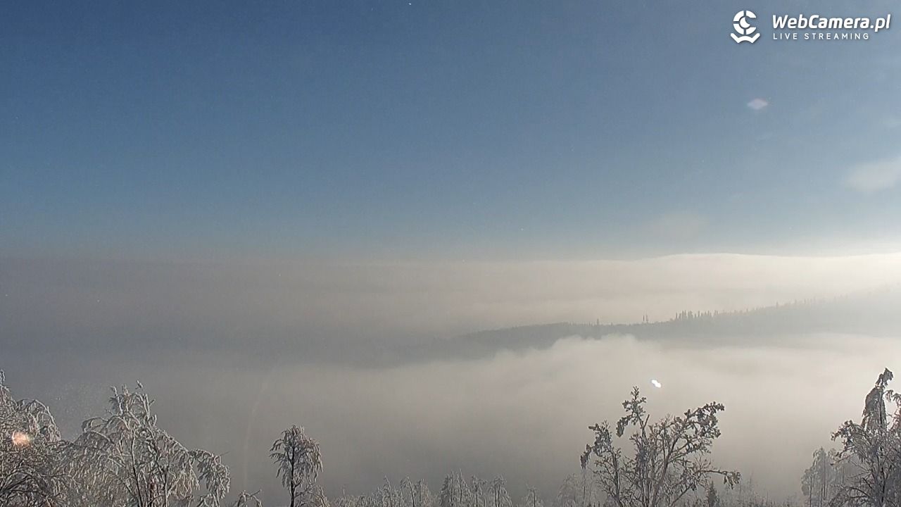 Szyndzielnia – szczyt w Beskidzie Śląskim - 01 luty 2026, 10:15