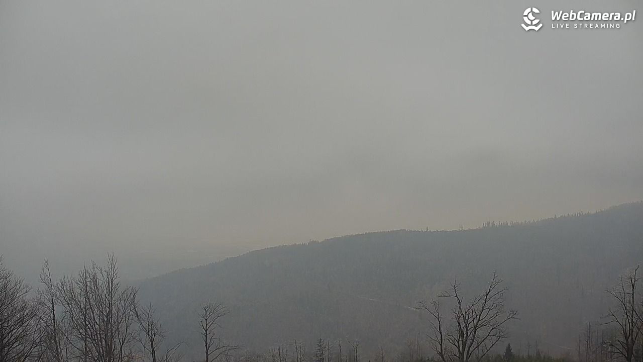 Szyndzielnia – szczyt w Beskidzie Śląskim - 17 marzec 2026, 12:21