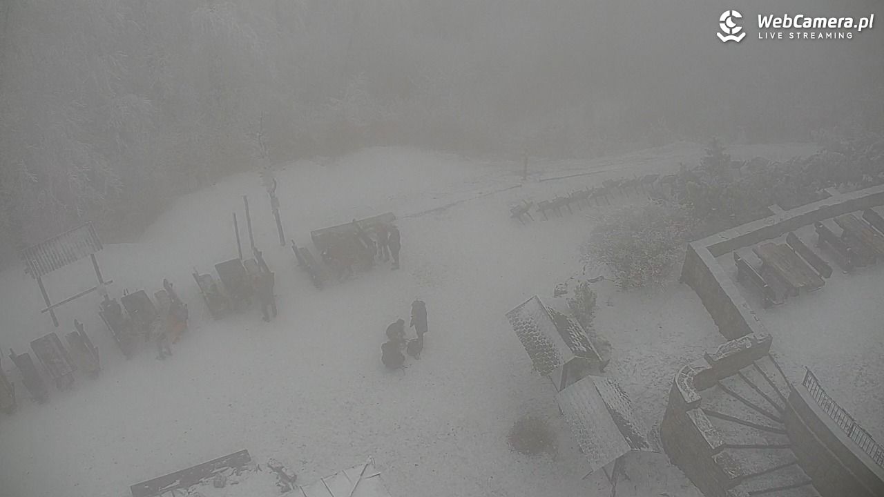 Szyndzielnia – szczyt w Beskidzie Śląskim - 31 styczeń 2026, 15:03