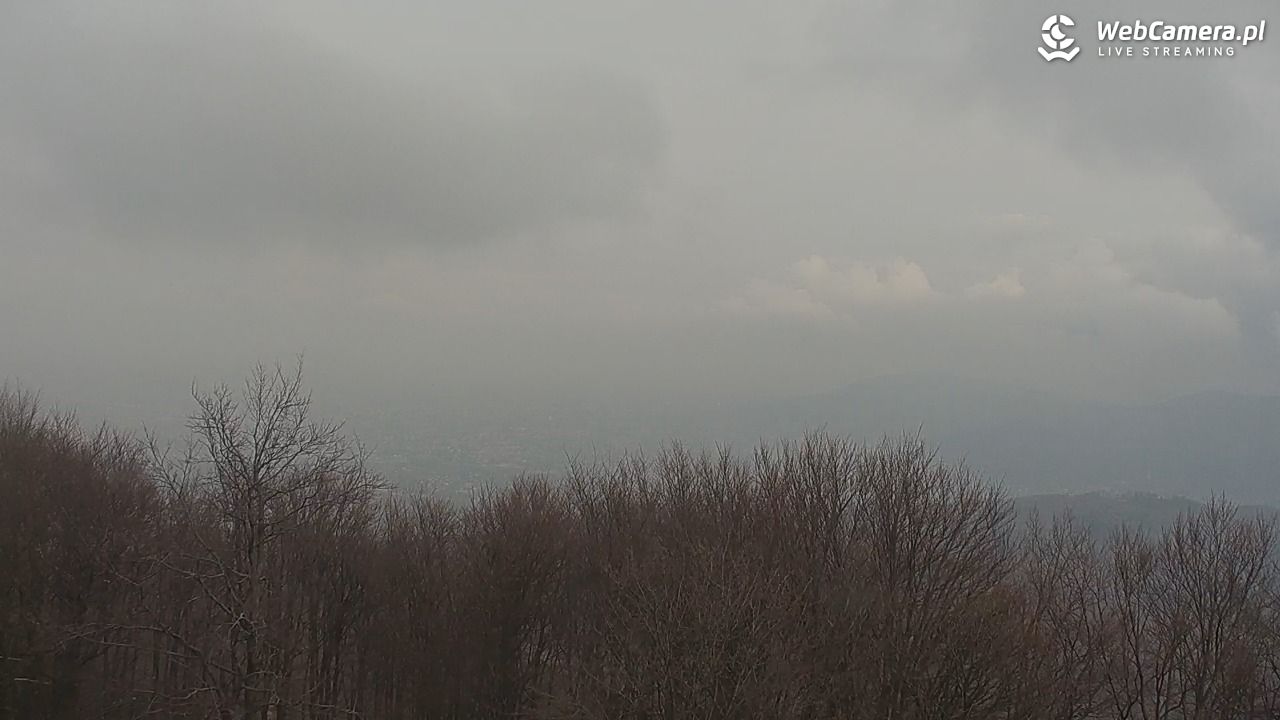 Szyndzielnia – szczyt w Beskidzie Śląskim - 17 marzec 2026, 13:48