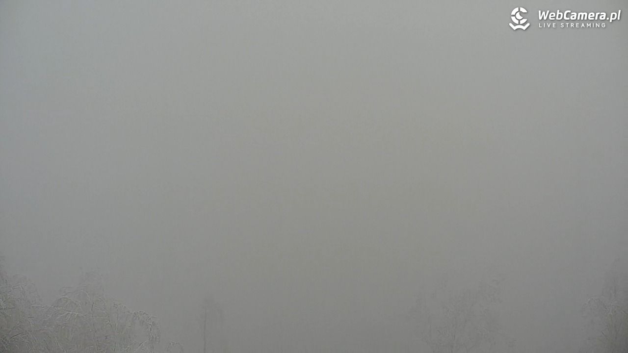 Szyndzielnia – szczyt w Beskidzie Śląskim - 31 styczeń 2026, 14:48