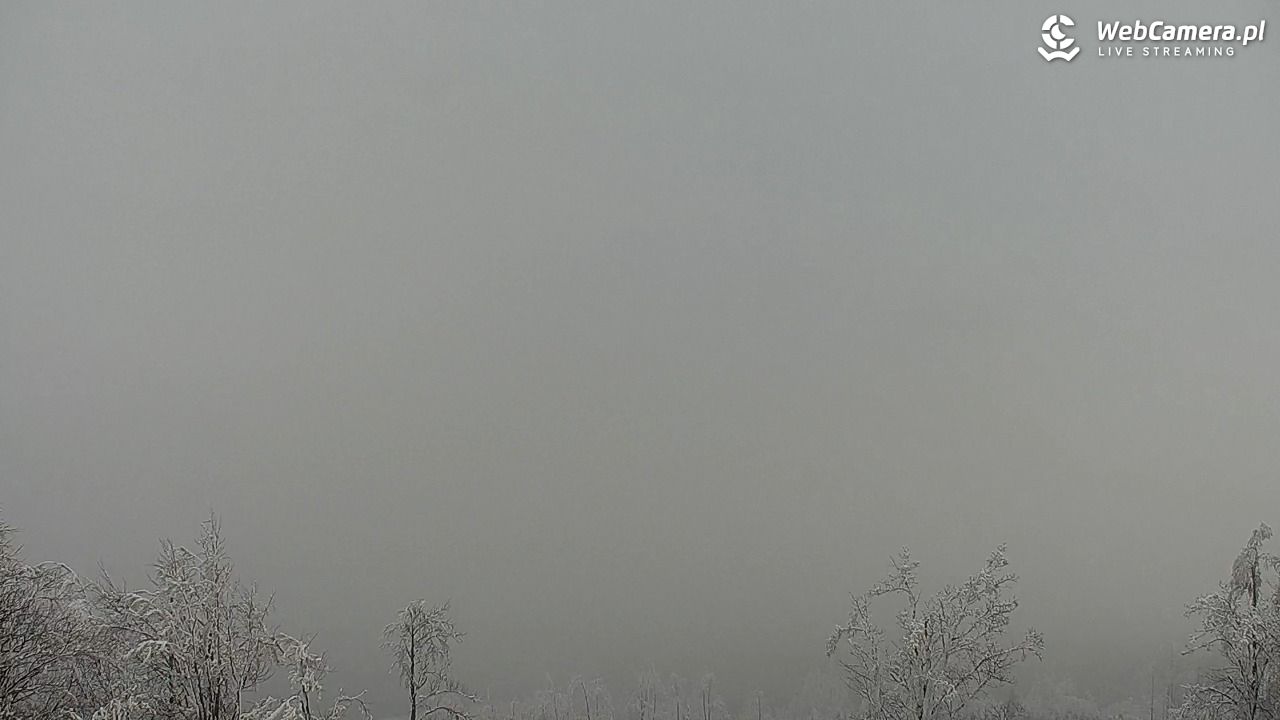 Szyndzielnia – szczyt w Beskidzie Śląskim - 01 luty 2026, 13:20